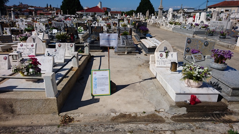 2019 07 16 Jazigo 168A